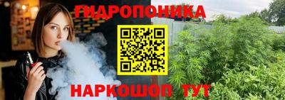 гидропоника Кулебаки