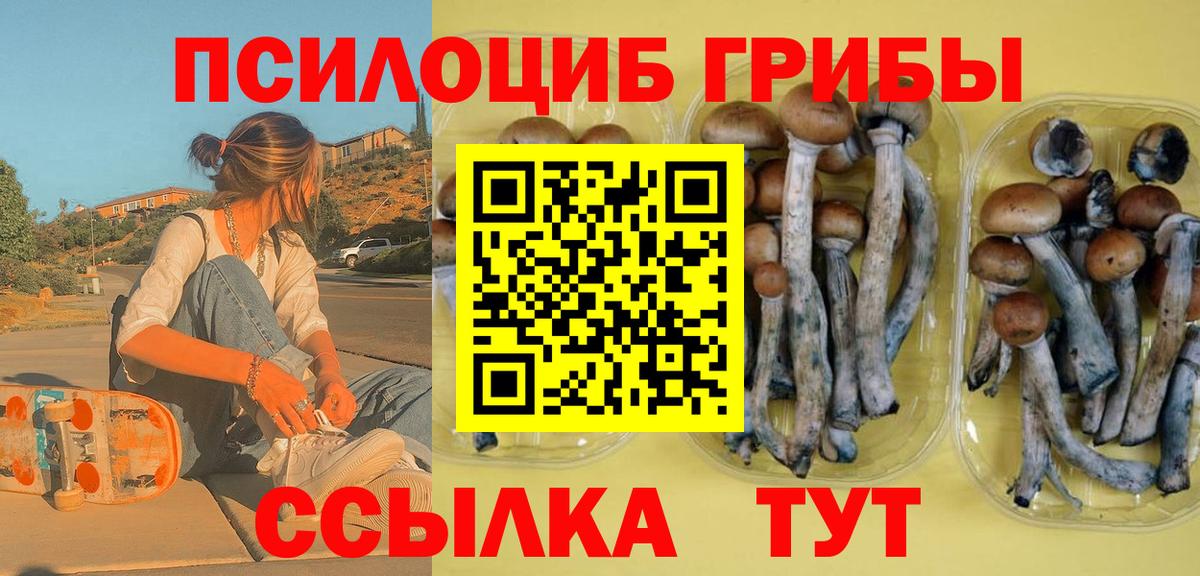 Галлюциногенные грибы GOLDEN TEACHER  наркота  Псилоцибиновые грибы Psilocybine cubensis  Железноводск  Вход с VPN 
